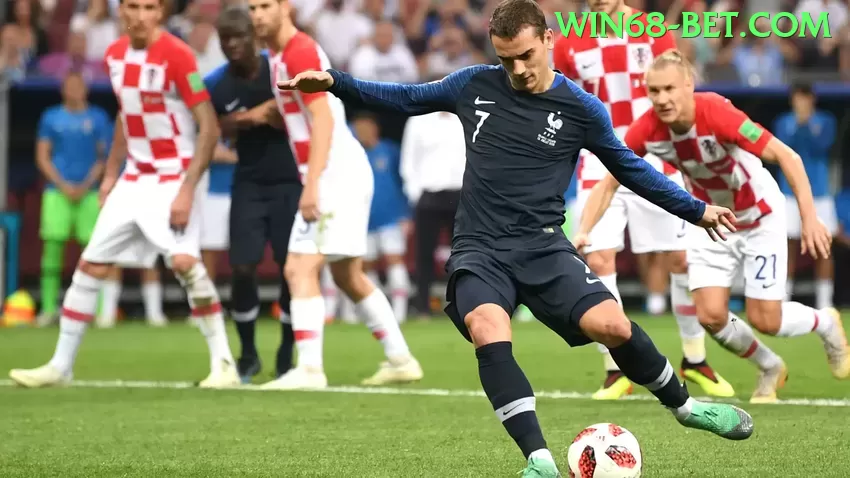 Descubra carvalhopg: Guia Prático Para Iniciantes e Experts - go